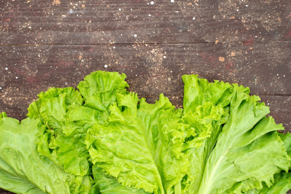 How To Store Iceberg Lettuce So It Stays Perfectly Crisp