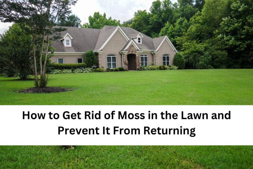 Add a hHow to Get Rid of Moss in the Lawn and Prevent It From Returningeading